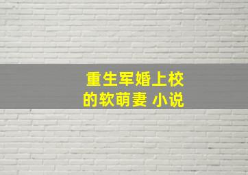 重生军婚上校的软萌妻 小说